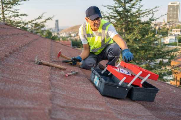 Best Storm Damage Siding Repair  in Lindsay, TX